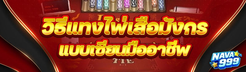 วิธีแทงไพ่เสือมังกร