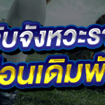 เทคนิคจับจังหวะราคาบอล